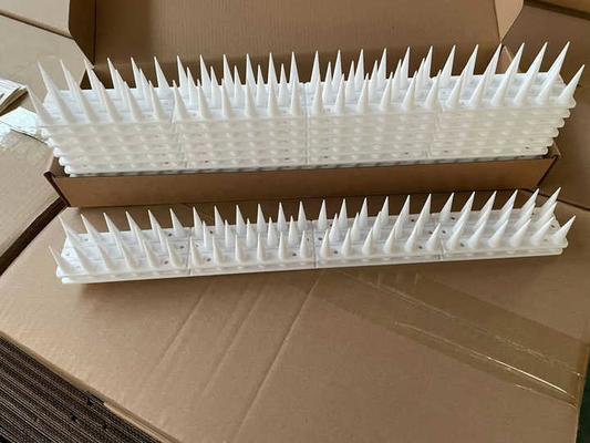 Kolay Kurulum Haşere Kontrolü Kuş Konisi Plastikte